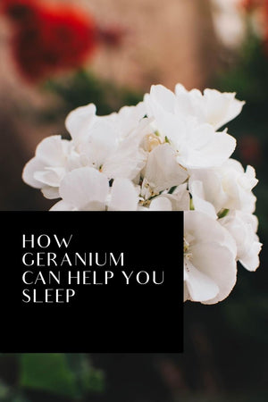 HOW GERANIUM CAN HELP YOU SLEEP